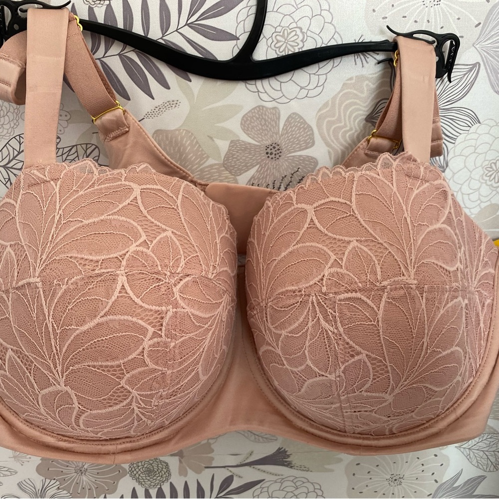 Elegant Lace Women's Bra in Blush Pink and Black-2 Bras